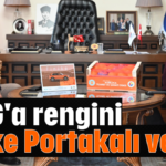 TOGG'a rengini Finike Portakalı versin