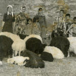 Toros Yörüklerinin hayatı belgesel oldu