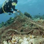 İstanbul Boğazı gırgır balıkçılığına kapatılsın çağrısı