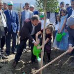 Kumlucada fidan dikim etkinliği