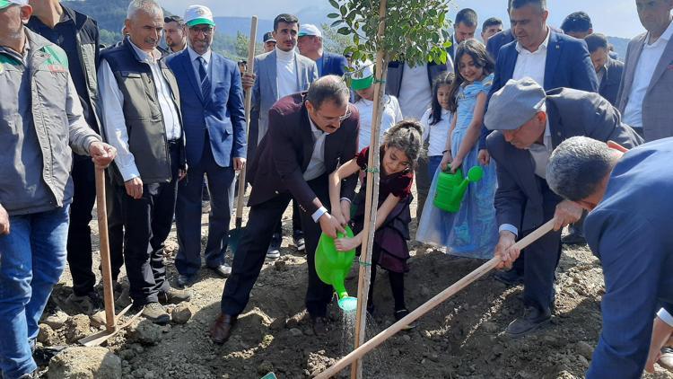 Kumlucada fidan dikim etkinliği