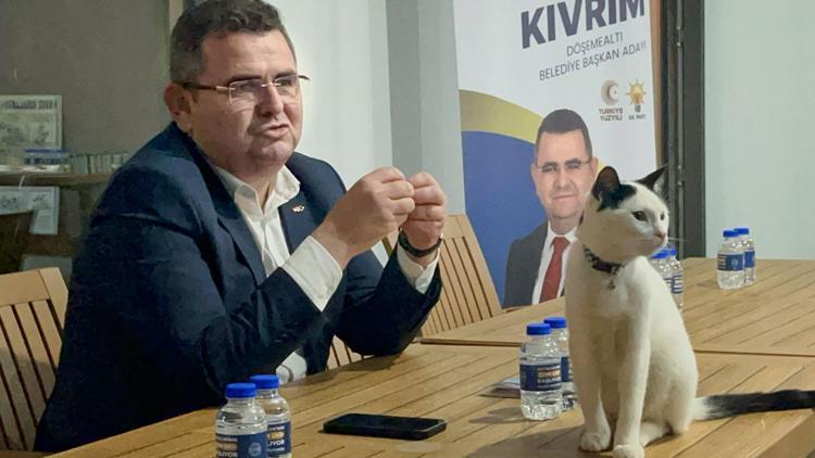 Başkan adayı masaya çıkan kediyi görünce hayvan mezarlığı projesini anlattı