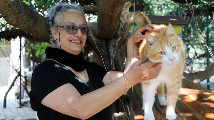 Norveçli Fari, kurduğu merkezde yüzlerce hayvanın hayatına dokundu