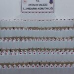 Antalyada sahte alkol operasyonu: 7 ton ele geçirildi