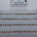 7 ton sahte alkol ele geçirildi