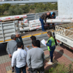 Alanya'da seraları zarar gören üreticilere Büyükşehir'den destek geldi