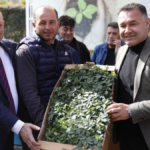 Alanyalı üreticilere fidan dağıtımı yapıldı