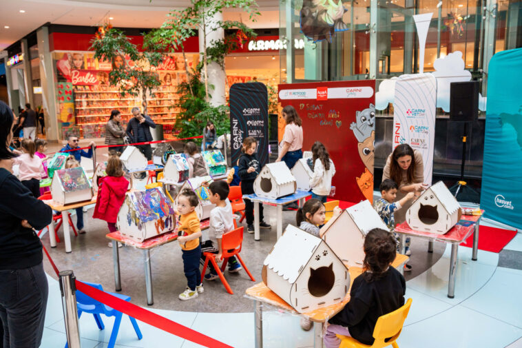 Antalya'da 'Kedi Evi Boyama Etkinliği' düzenlendi