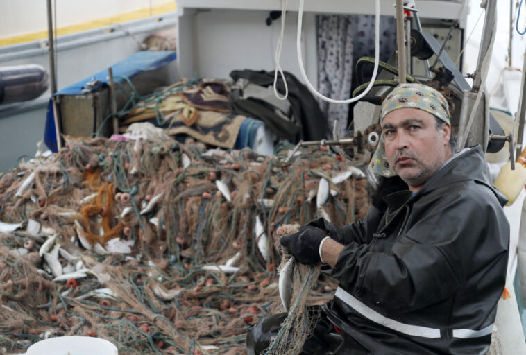 Balon balığı bu kez balıkçıların yüzünü güldürdü