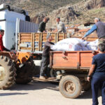 Büyükşehir'den Elmalı çiftçisine yem desteği