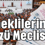 Emeklilerin gözü Meclis'te
