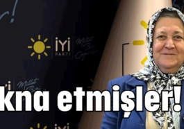 İkna etmişler!