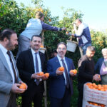 İktidara kırmızı kart gösterin !