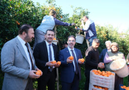 İktidara kırmızı kart gösterin !