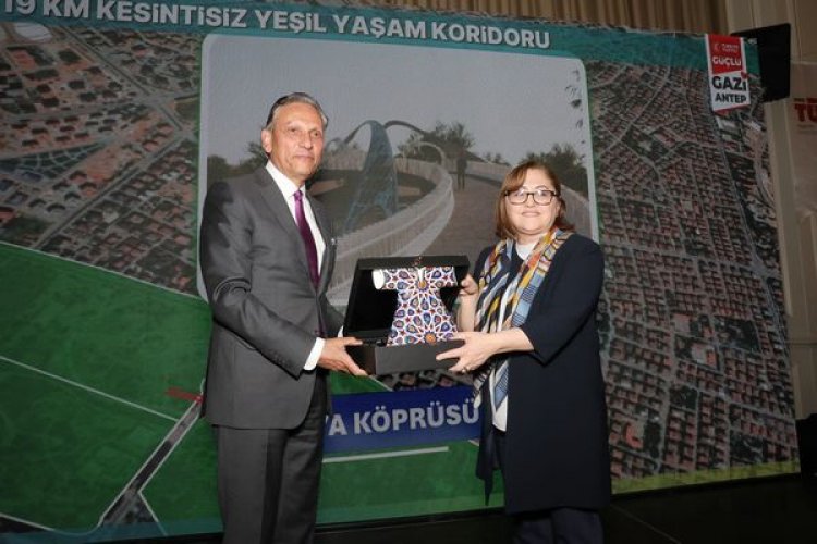 image_750x_6606513961b4f