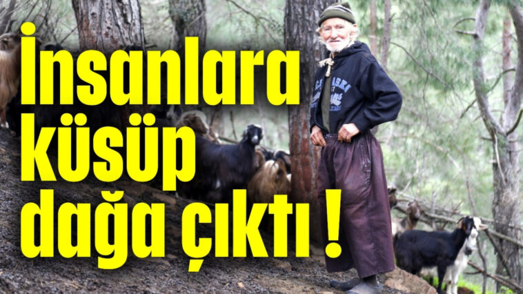 İnsanlara küsüp dağa çıktı!