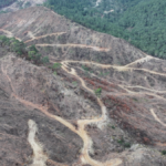 Kemer'de kül olan orman tohum takviyesi eski haline döndürülüyor