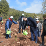 Korkuteli'nde 2 bin fidan toprakla buluştu