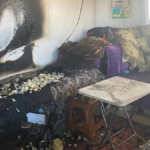 Korkuteli'ndeki kazada büyükbaş hayvanlar telef oldu