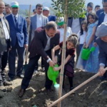 Kumluca'da 500 fidan dikildi