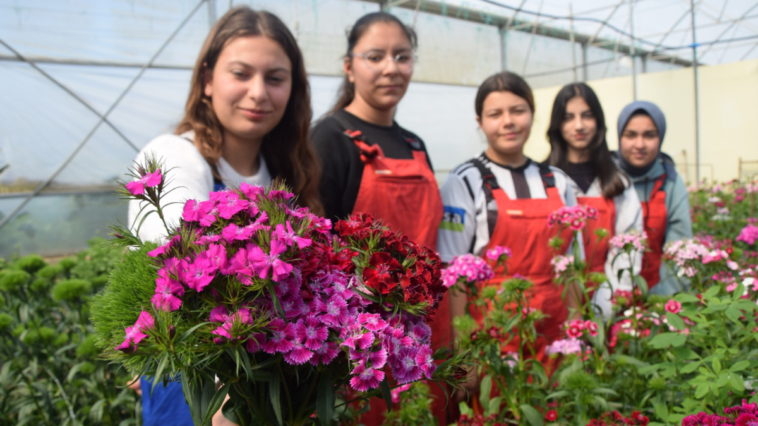 Liseliler okul bahçesinde kesme çiçek üretti