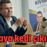 Masaya kedi çıkınca!