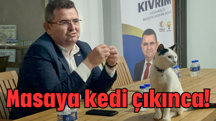 Masaya kedi çıkınca!
