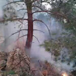 Ormana girişi yasaklandı