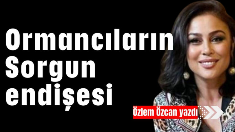 Ormancıların Sorgun endişesi