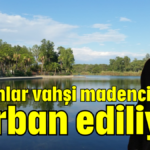 Ormanlar vahşi madenciliğe kurban ediliyor