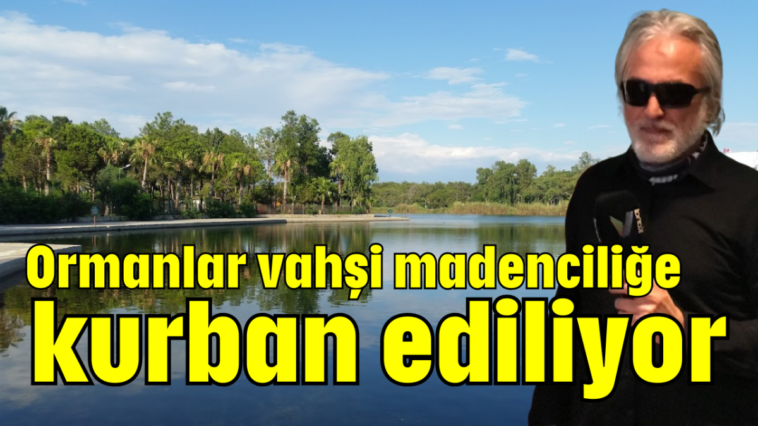 Ormanlar vahşi madenciliğe kurban ediliyor