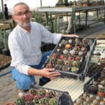 Hedef kaktüste ithalin önüne geçmek