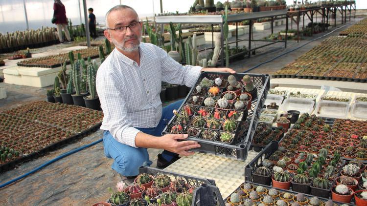 Hedef kaktüste ithalin önüne geçmek