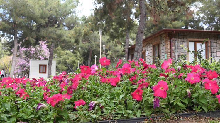 Hayatpark çiçek gibi oldu