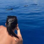 Yunuslar turistlere gösteri yaptı