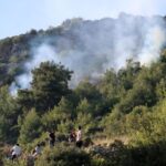 Alanyada orman yangını büyümeden söndürüldü