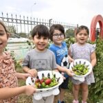 Ekolojik yaşama can suyu