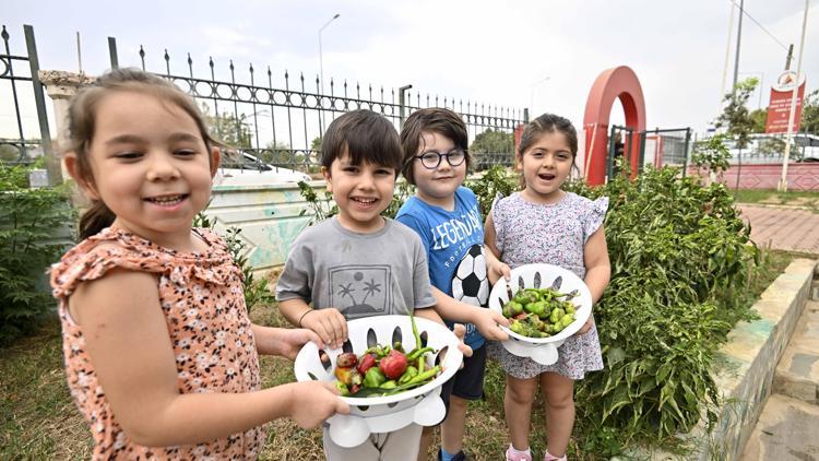 Ekolojik yaşama can suyu