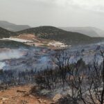 Korkutelide çalılık yangını