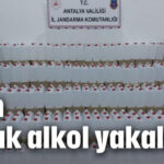 7 ton kaçak alkol yakalandı