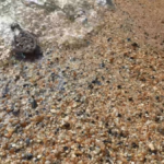 Alanyalılara önemli uyarı