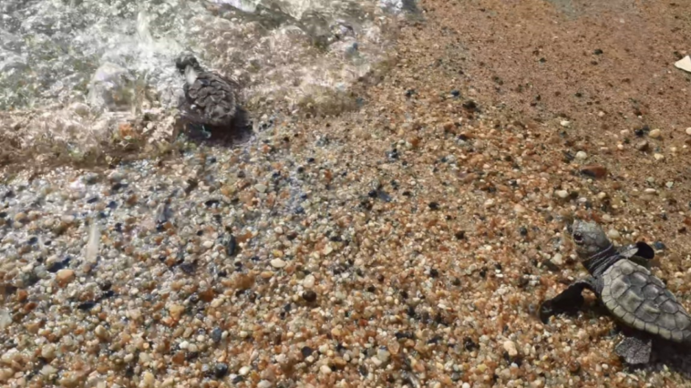 Alanyalılara önemli uyarı