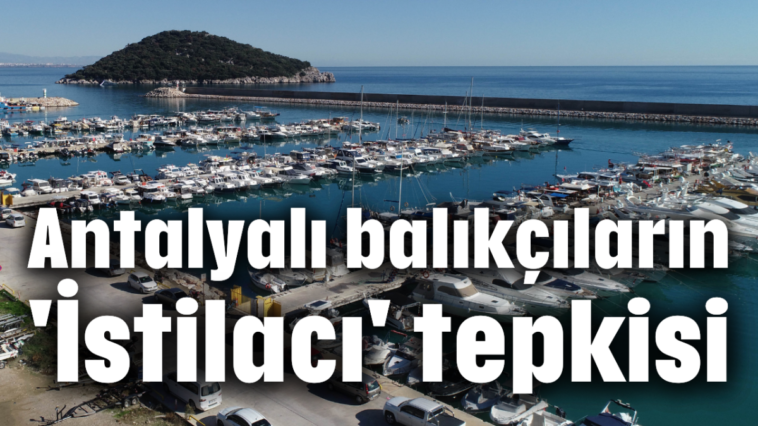 Antalyalı balıkçıların 'İstilacı' tepkisi