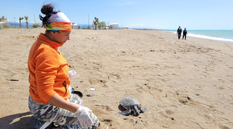Balıkçı ağlarına takıldı
