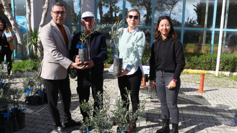 Büyükşehir'den Serik'e 700 zeytin fidesi hibesi