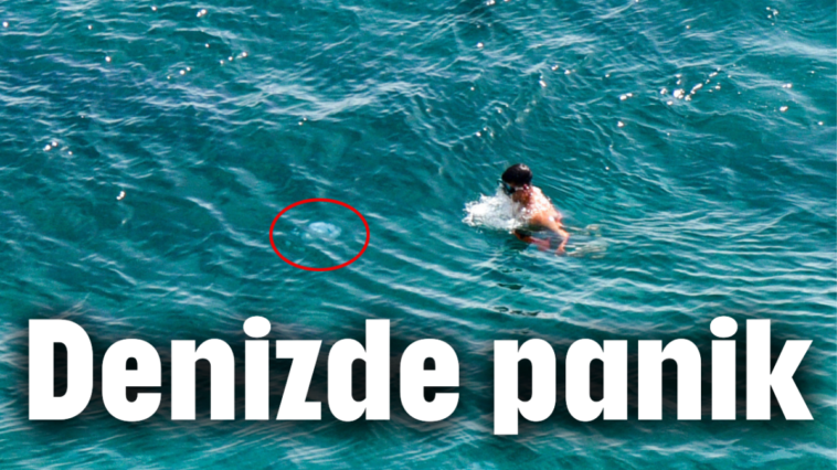 Denizde panik