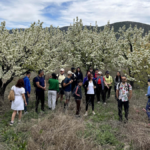 Doğa yürüyüşçülerinin yeni rotası çiçek şöleni oldu