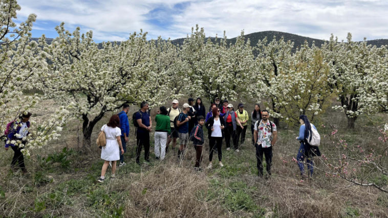 Doğa yürüyüşçülerinin yeni rotası çiçek şöleni oldu