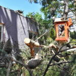 Fırtınanın yaraları sarılıyor