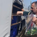 Gazipaşa’da pestisit denetimi